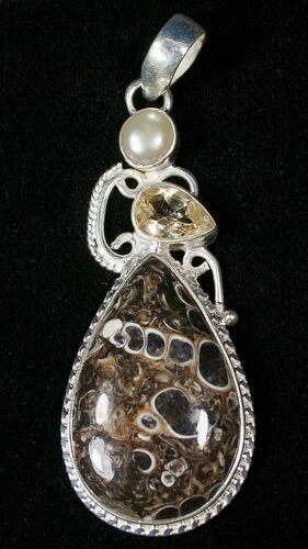Fossil Turritella (Gastropod) Pendant - Sterling Silver #16549